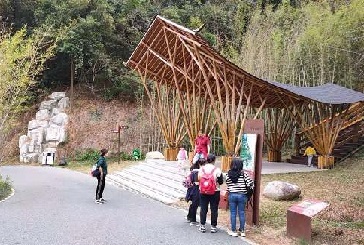 奋斗:阳春三月正当时 奋斗:阳春三月正当时